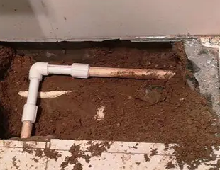 哈巴河测漏水哪家好