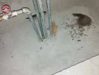 哈巴河卫生间测漏水价格明细