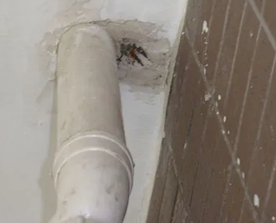 哈巴河漏水检测哪家好